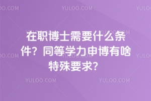 在职博士需要什么条件？同等学力申博有啥特殊要求？