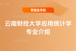 云南财经大学应用统计学专业介绍